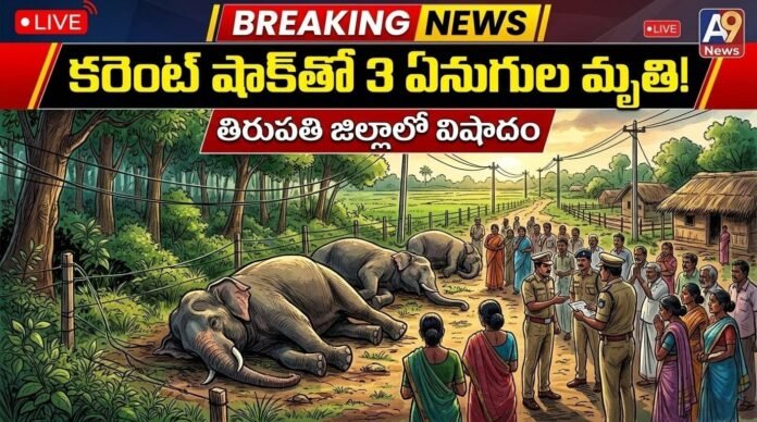 విద్యుత్ తీగలు తగిలి మూడు ఏనుగులు ప్రాణాలు కోల్పోయాయి.